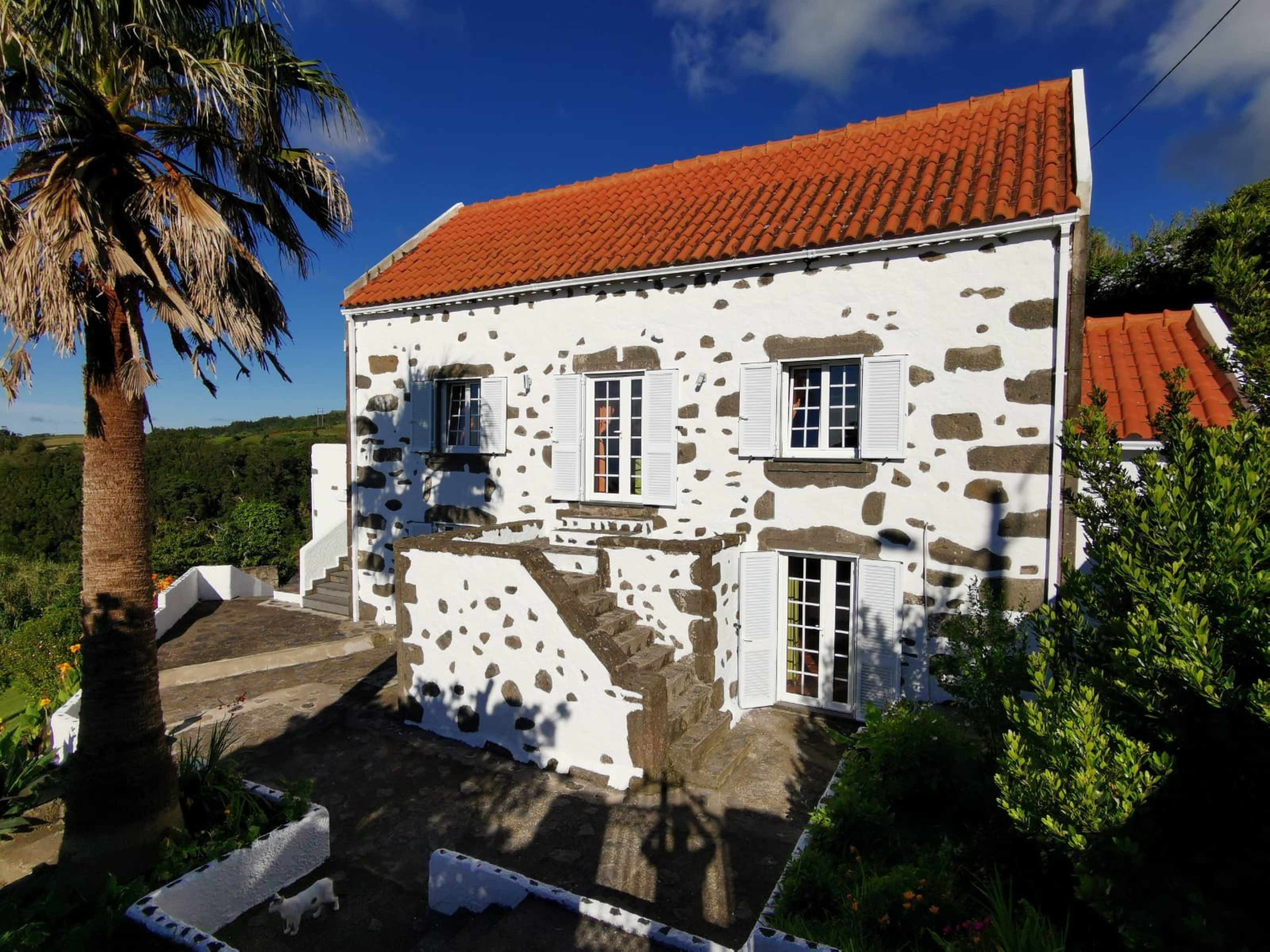 24638139-2f9c-4991-a9d6-5116b31b1808 (3)